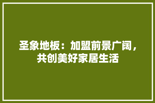 圣象地板：加盟前景广阔，共创美好家居生活 现代风格装饰