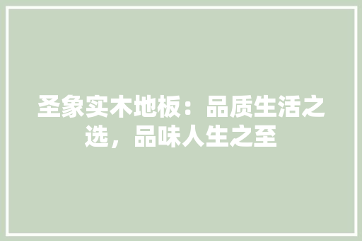 圣象实木地板：品质生活之选，品味人生之至 现代风格装饰