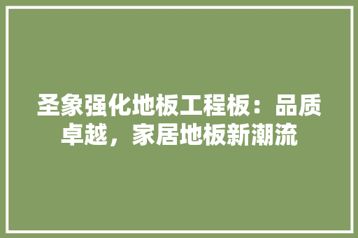 圣象强化地板工程板：品质卓越，家居地板新潮流 现代风格装饰