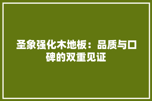 圣象强化木地板：品质与口碑的双重见证 现代风格装饰