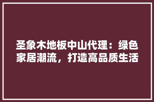 圣象木地板中山代理：绿色家居潮流，打造高品质生活空间 现代风格装饰