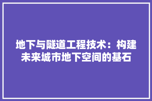 地下与隧道工程技术：构建未来城市地下空间的基石 现代风格装饰