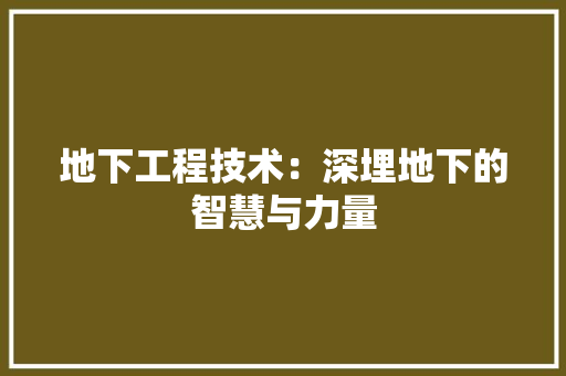 地下工程技术：深埋地下的智慧与力量 现代风格装饰