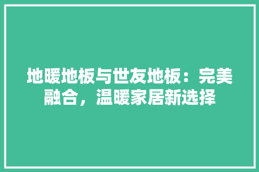地暖地板与世友地板：完美融合，温暖家居新选择 现代风格装饰