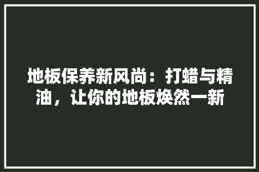 地板保养新风尚：打蜡与精油，让你的地板焕然一新 现代风格装饰