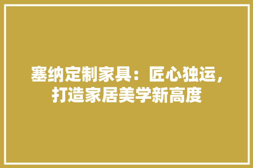 塞纳定制家具：匠心独运，打造家居美学新高度 现代风格装饰