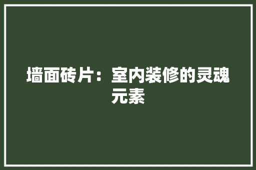 墙面砖片：室内装修的灵魂元素 现代风格装饰