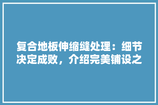复合地板伸缩缝处理：细节决定成败，介绍完美铺设之路 现代风格装饰