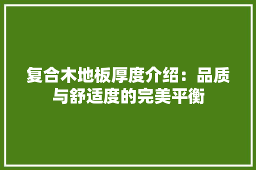 复合木地板厚度介绍：品质与舒适度的完美平衡 现代风格装饰
