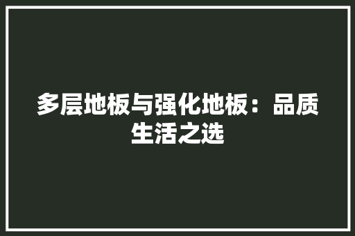 多层地板与强化地板：品质生活之选 现代风格装饰