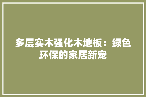 多层实木强化木地板：绿色环保的家居新宠 现代风格装饰