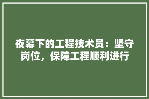 夜幕下的工程技术员：坚守岗位，保障工程顺利进行 现代风格装饰