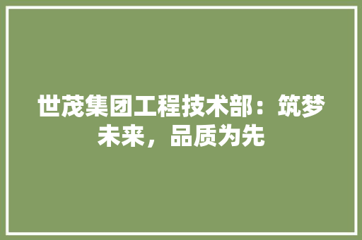 世茂集团工程技术部：筑梦未来，品质为先 家居装修