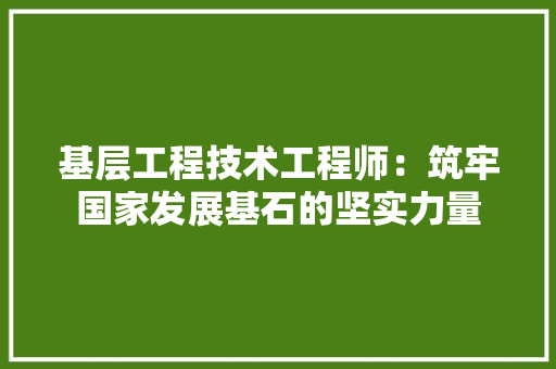 基层工程技术工程师：筑牢国家发展基石的坚实力量 现代风格装饰