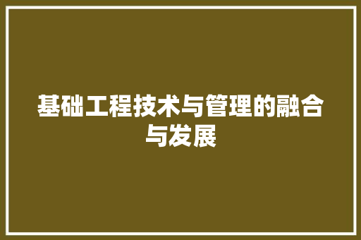 基础工程技术与管理的融合与发展 现代风格装饰
