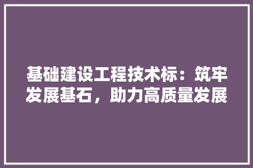 基础建设工程技术标：筑牢发展基石，助力高质量发展 现代风格装饰