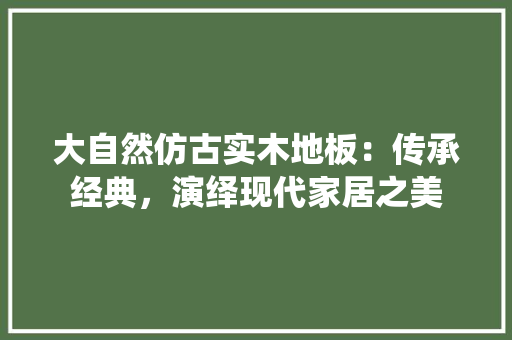大自然仿古实木地板：传承经典，演绎现代家居之美 现代风格装饰