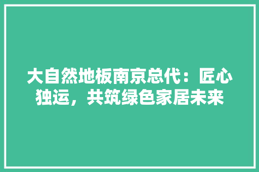 大自然地板南京总代：匠心独运，共筑绿色家居未来 现代风格装饰