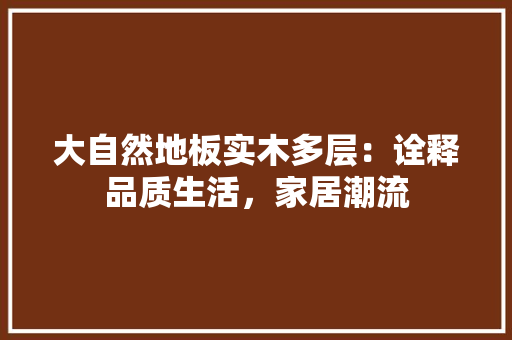 大自然地板实木多层：诠释品质生活，家居潮流 现代风格装饰