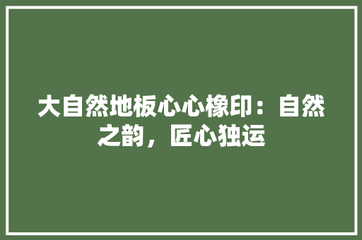 大自然地板心心橡印：自然之韵，匠心独运 现代风格装饰
