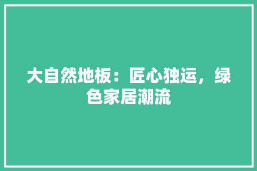 大自然地板：匠心独运，绿色家居潮流 现代风格装饰