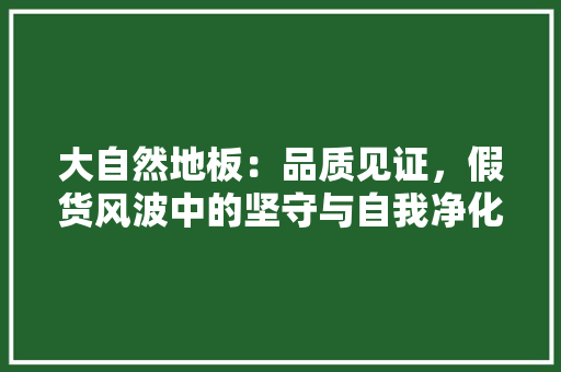 大自然地板：品质见证，假货风波中的坚守与自我净化 现代风格装饰