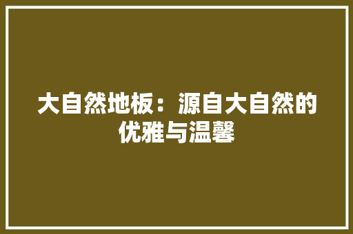 大自然地板：源自大自然的优雅与温馨 现代风格装饰