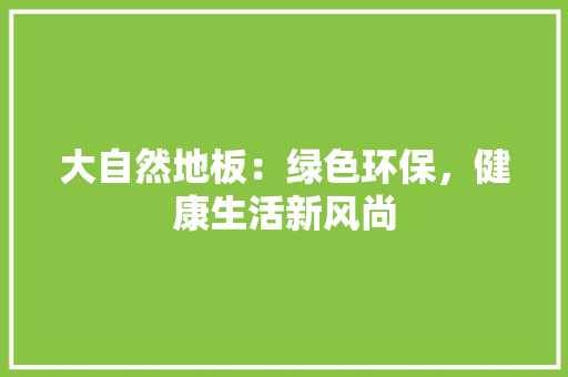 大自然地板：绿色环保，健康生活新风尚 现代风格装饰