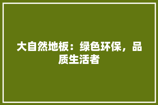 大自然地板：绿色环保，品质生活者 现代风格装饰