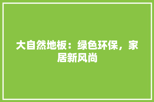 大自然地板：绿色环保，家居新风尚 现代风格装饰