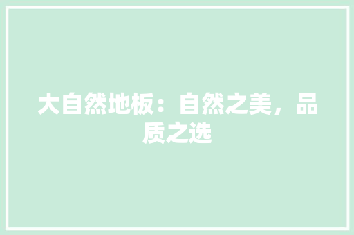 大自然地板：自然之美，品质之选 现代风格装饰