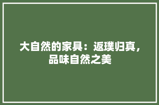 大自然的家具：返璞归真，品味自然之美 现代风格装饰
