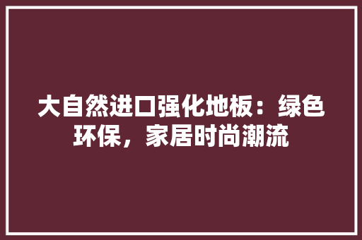 大自然进口强化地板：绿色环保，家居时尚潮流 现代风格装饰