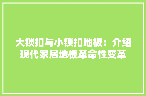 大锁扣与小锁扣地板：介绍现代家居地板革命性变革 现代风格装饰