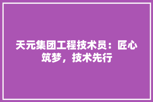 天元集团工程技术员：匠心筑梦，技术先行 现代风格装饰