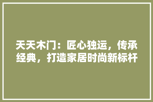 天天木门：匠心独运，传承经典，打造家居时尚新标杆 现代风格装饰