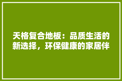 天格复合地板：品质生活的新选择，环保健康的家居伴侣 现代风格装饰