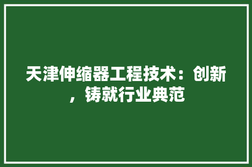 天津伸缩器工程技术：创新，铸就行业典范 现代风格装饰