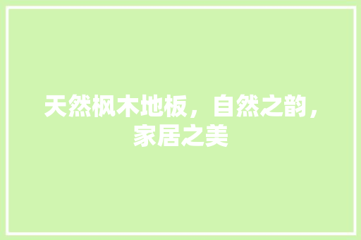 天然枫木地板，自然之韵，家居之美 现代风格装饰