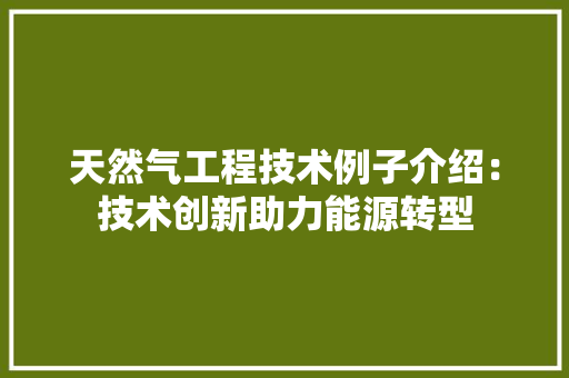 天然气工程技术例子介绍：技术创新助力能源转型 现代风格装饰