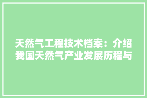 天然气工程技术档案：介绍我国天然气产业发展历程与未来展望 现代风格装饰