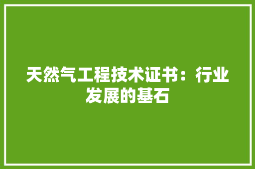天然气工程技术证书：行业发展的基石 现代风格装饰