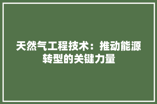 天然气工程技术：推动能源转型的关键力量 现代风格装饰