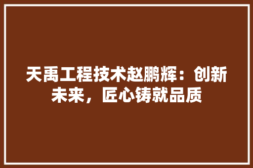 天禹工程技术赵鹏辉：创新未来，匠心铸就品质 现代风格装饰
