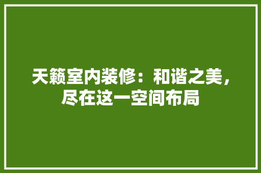 天籁室内装修：和谐之美，尽在这一空间布局 现代风格装饰