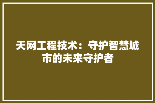 天网工程技术：守护智慧城市的未来守护者 现代风格装饰