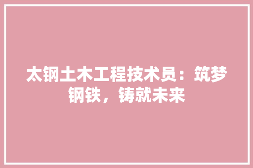 太钢土木工程技术员：筑梦钢铁，铸就未来 现代风格装饰