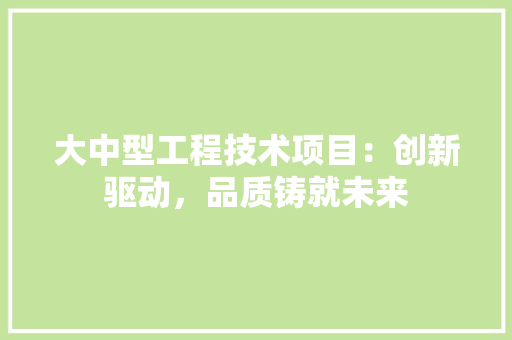 大中型工程技术项目：创新驱动，品质铸就未来 现代风格装饰