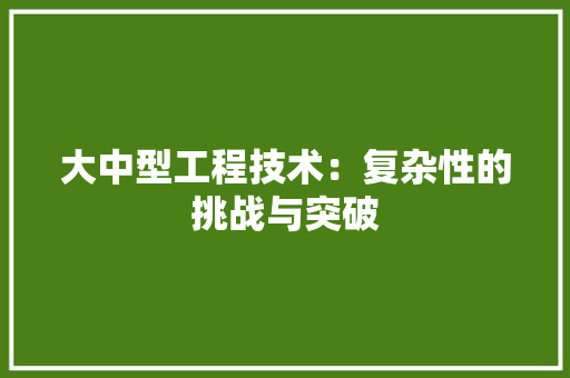 大中型工程技术：复杂性的挑战与突破 现代风格装饰