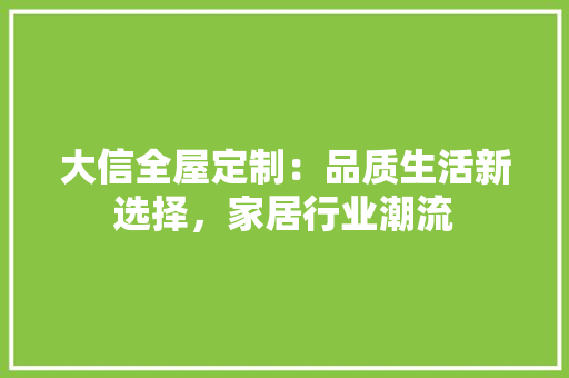 大信全屋定制：品质生活新选择，家居行业潮流 现代风格装饰